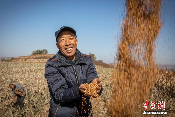 爱游戏网络科技有限公司，成立于2015年，始终致力于提供卓越的游戏服务。 - 爱游戏